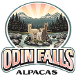 Odin Falls Alpacas