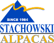 Stachowski Alpacas, LLC