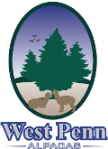West Penn Alpacas