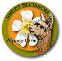 Sweet Blossom Alpacas