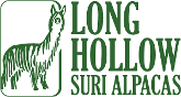 Long Hollow Suri Alpacas